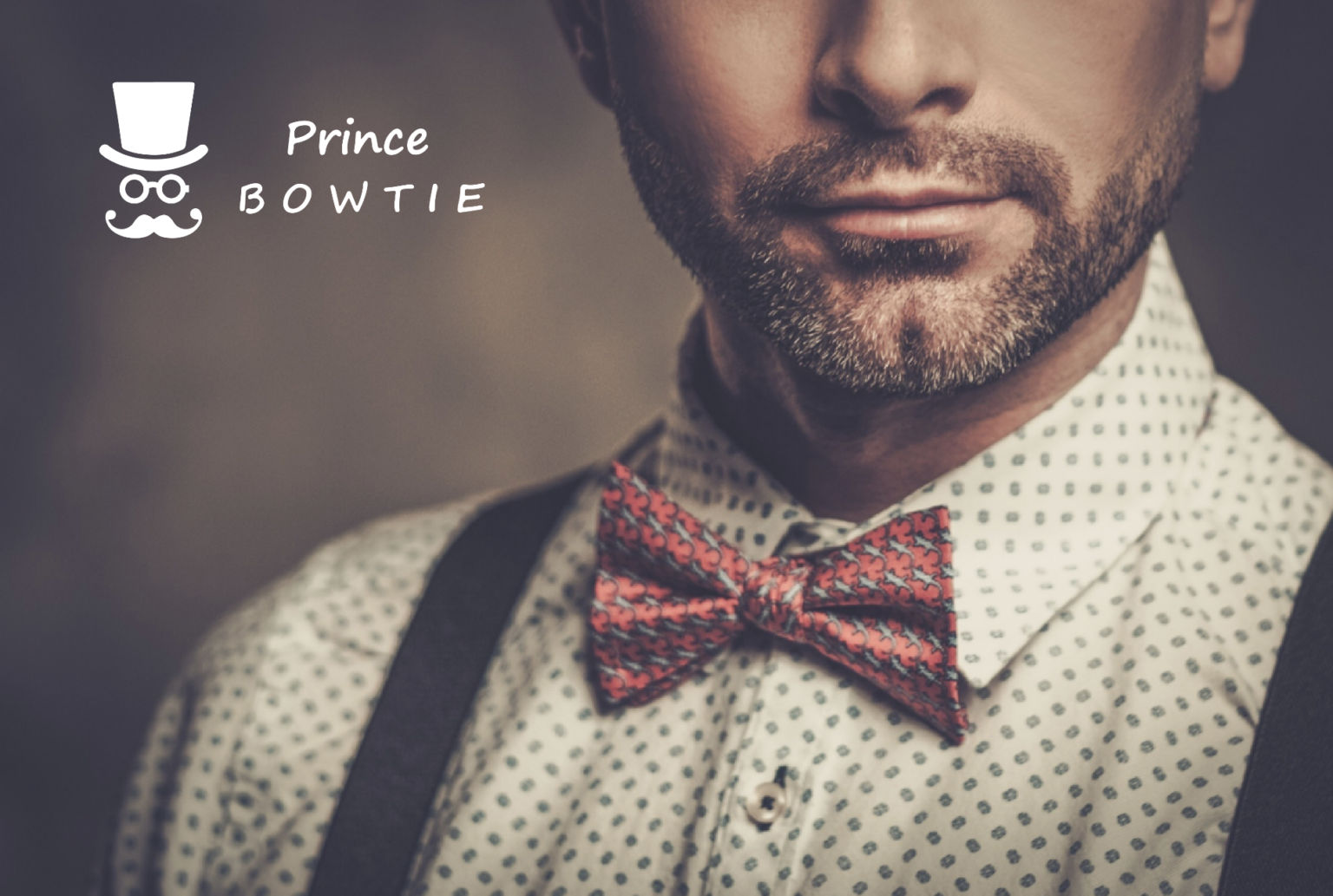 seidenfalter prince bowtie